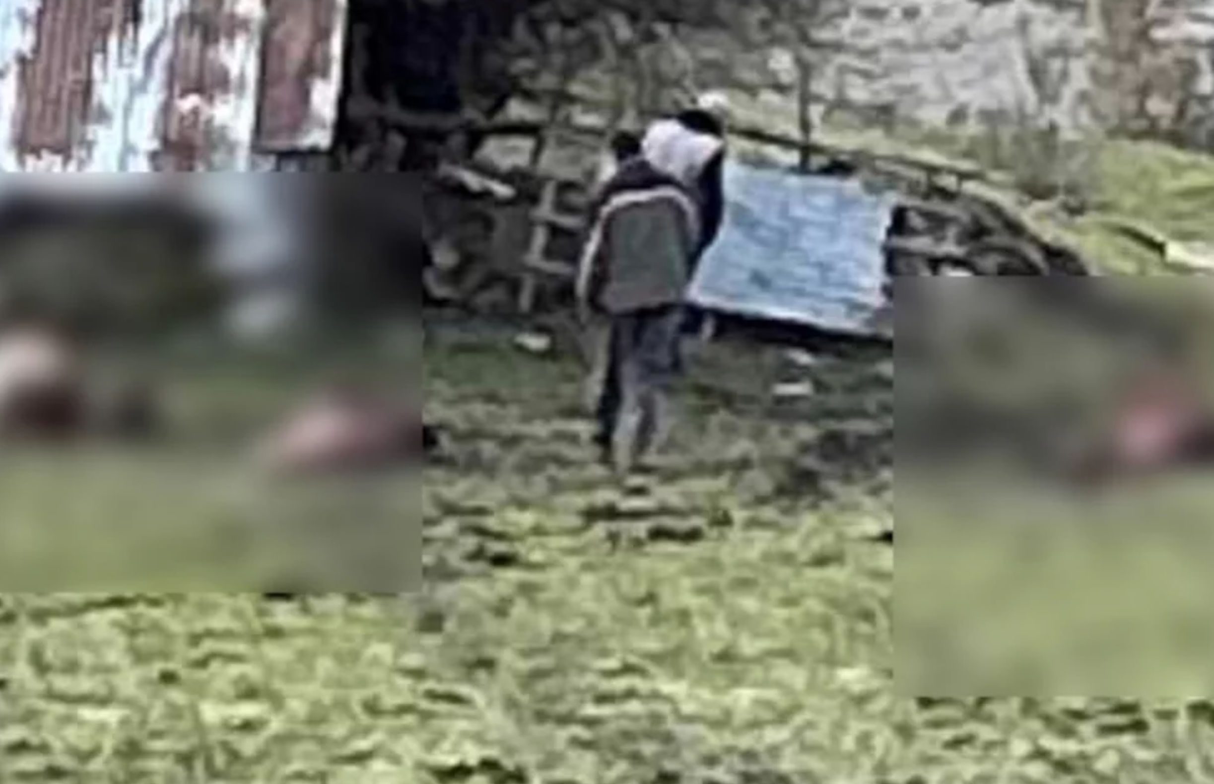 Παρέμβαση Αρείου Πάγου για τη θανάτωση 4 αλόγων στα Γρεβενά
