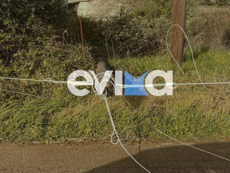Η κακοκαιρία σάρωσε την Εύβοια: Έπεσε κολώνα της ΔΕΗ – Ξεριζώθηκαν κεραμίδια (pics)