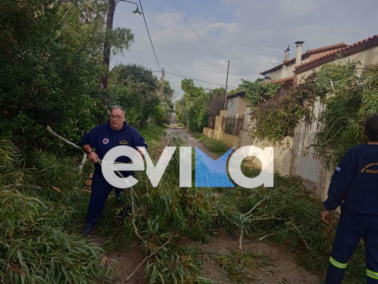 Μεγάλες ζημιές από την κακοκαιρία – Βομβαρδισμένο τοπίο η Εύβοια