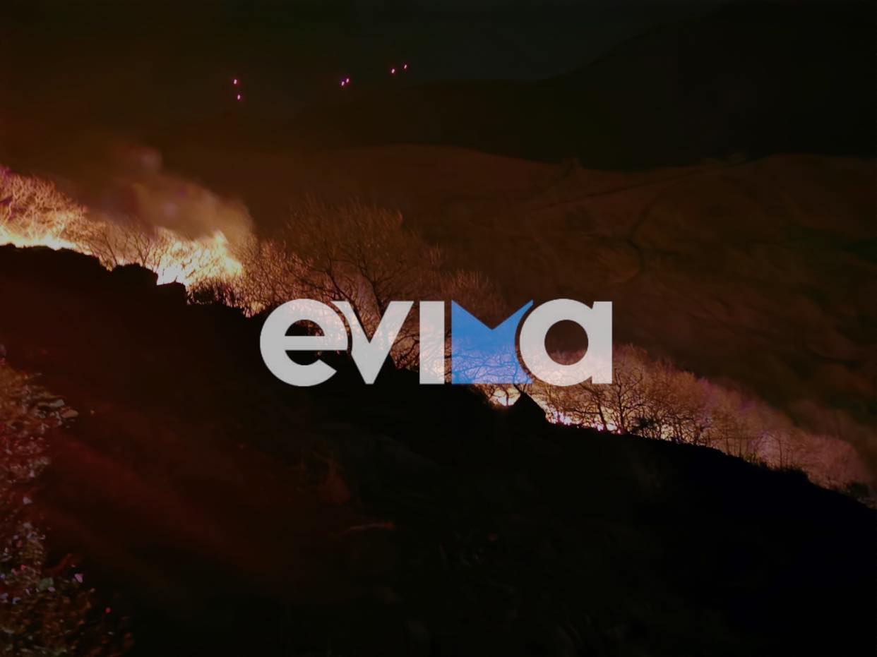 Μεγάλη φωτιά στην Εύβοια: Καίει δασική έκταση – Νέα εικόνα από το πύρινο μέτωπο