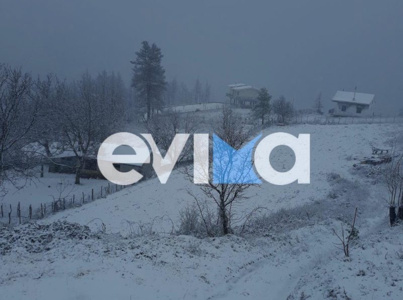 Αυτό το χωριό της Εύβοιας «θάφτηκε» στο χιόνι (vid)