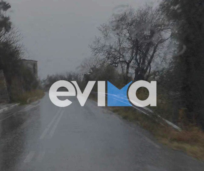 Κακοκαιρία στην Εύβοια: Δέντρα έπεσαν σε κεντρικό δρόμο – Σε 24ωρη επιφυλακή οι αρχές