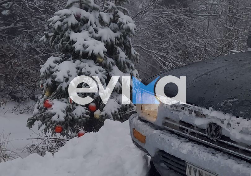 Χιόνια στην Εύβοια: Στους δρόμους τα εκχιονιστικά – Σε ποιο χωριό χρειάζονται αντιολισθητικές αλυσίδες