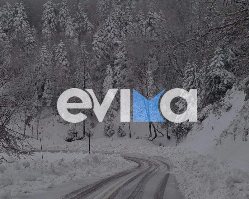 Χιόνια στην Εύβοια: Ξεκίνησαν οι μπόρες χιονιού – Δείτε live εικόνα (vid)