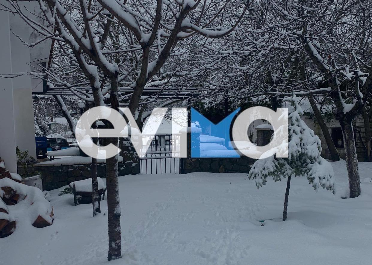 Σπίτια «χάθηκαν» στο χιόνι στην Εύβοια – Δείτε βίντεο