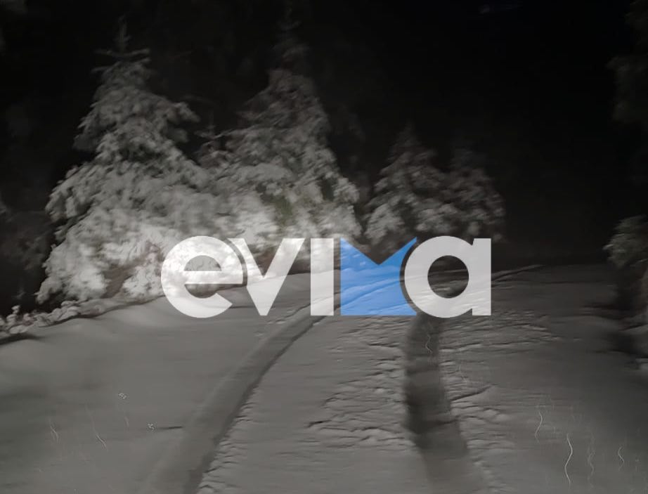 Χιόνισε στην Εύβοια: Χωριά ντύθηκαν στα λευκά (pics&vid)