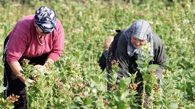 Έρχεται νέο επίδομα για τις αγρότισσες μητέρες