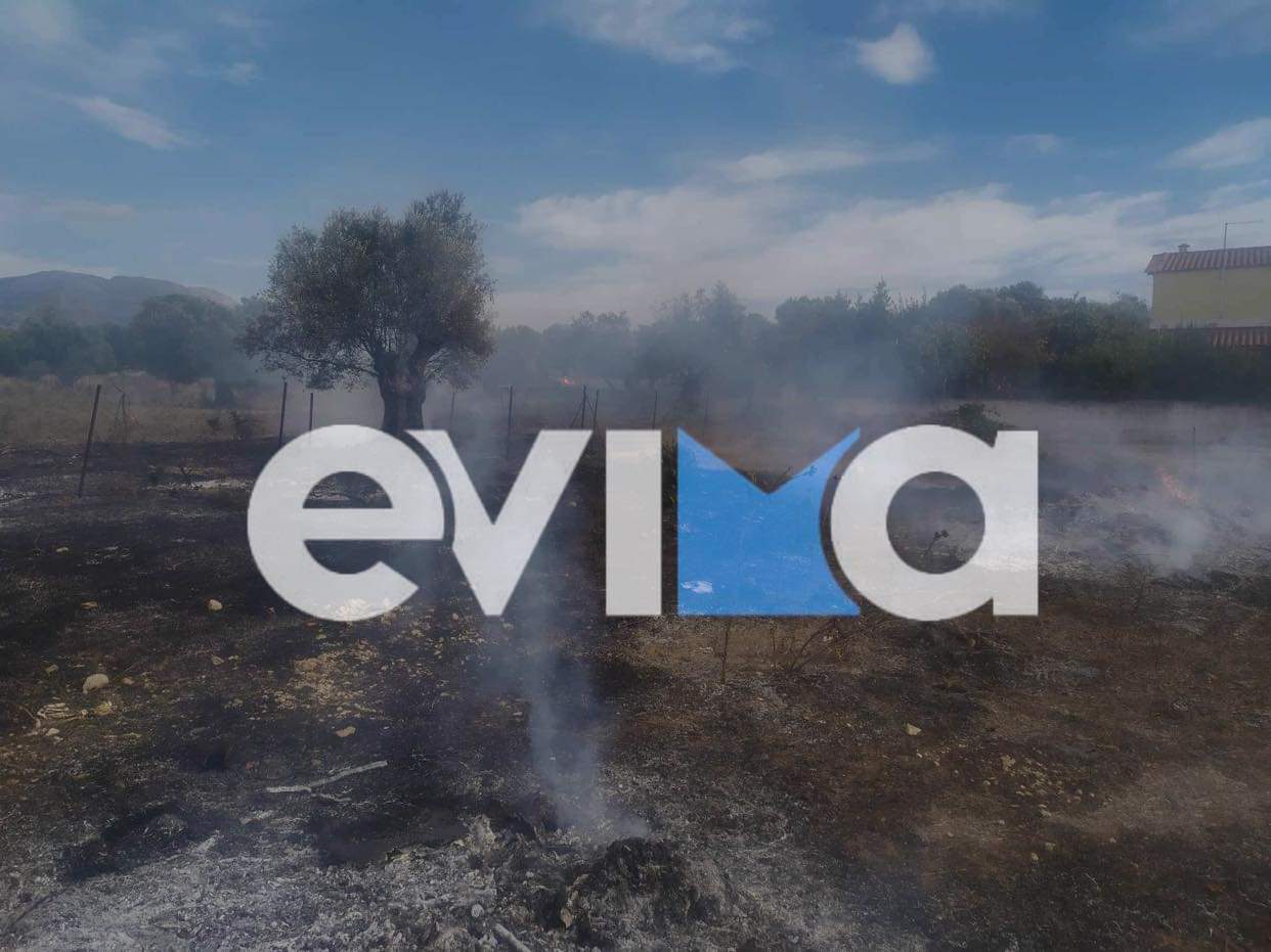 Φωτιά στην Εύβοια: Πήγε να κάψει κλαριά και του ξέφυγε η πυρκαγιά – Βαρύ πρόστιμο από την Πυροσβεστική