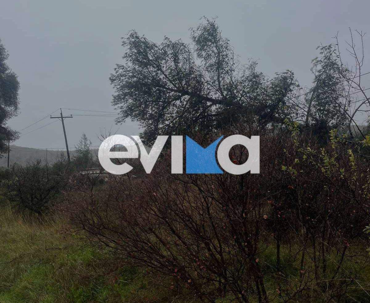 Κακοκαιρία στην Εύβοια: Προσοχή στους δρόμους – Πτώσεις κλωναριών από τους ισχυρούς ανέμους