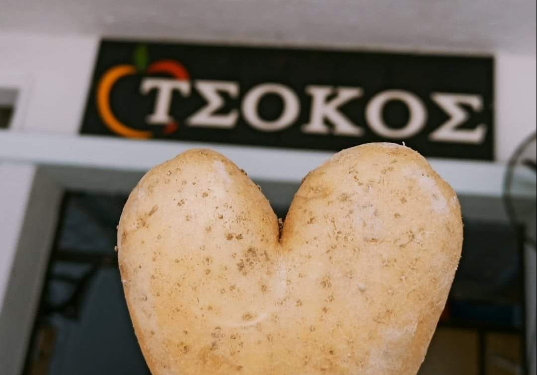 Εύβοια: Η εταιρία Tsokos-fruit αναζητά οδηγό για πλήρη απασχόληση