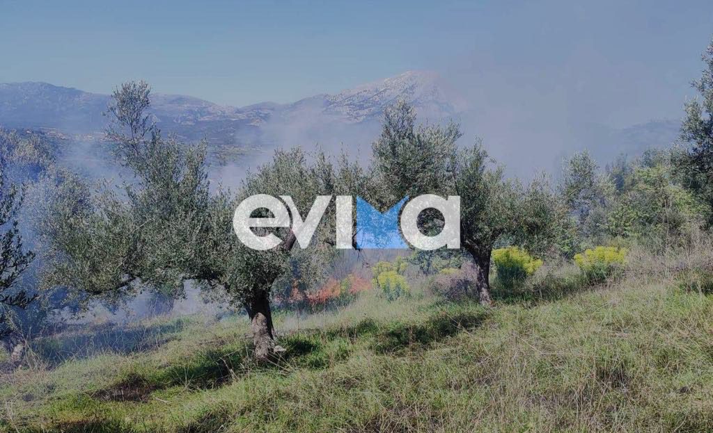 Φωτιά τώρα σε δασική έκταση στην Εύβοια – Οι πρώτες εικόνες