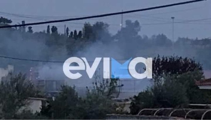 Εύβοια: Υπό έλεγχο η φωτιά που ξέσπασε σε κατοικημένη περιοχή