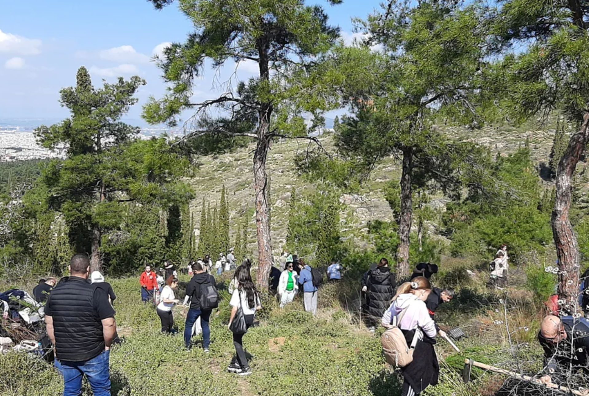 Σε ποια περιοχή μαθητές από την Αρμενία έκαναν δενδροφύτευση