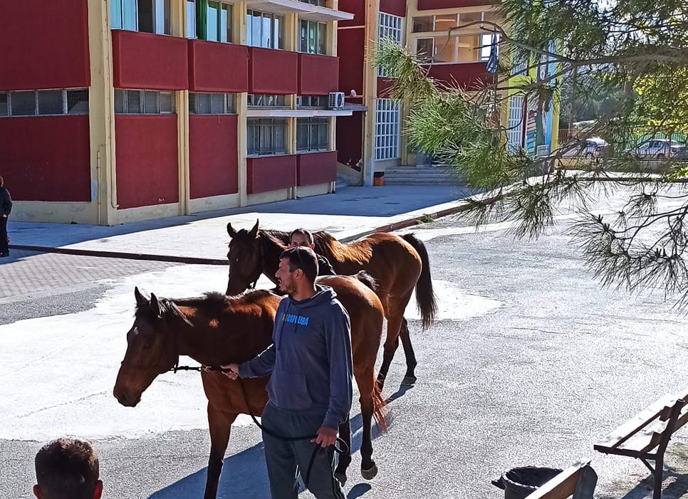 Εύβοια: Δύο πανέμορφα άλογα «τρέλαναν» μικρούς και μεγάλους – Τι έκαναν στο προαύλειο σχολείου;