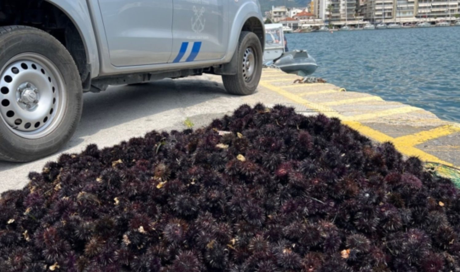 Εύβοια: Συνέλαβαν δύο νεαρούς μετά από τσακωμό με λιμενικούς