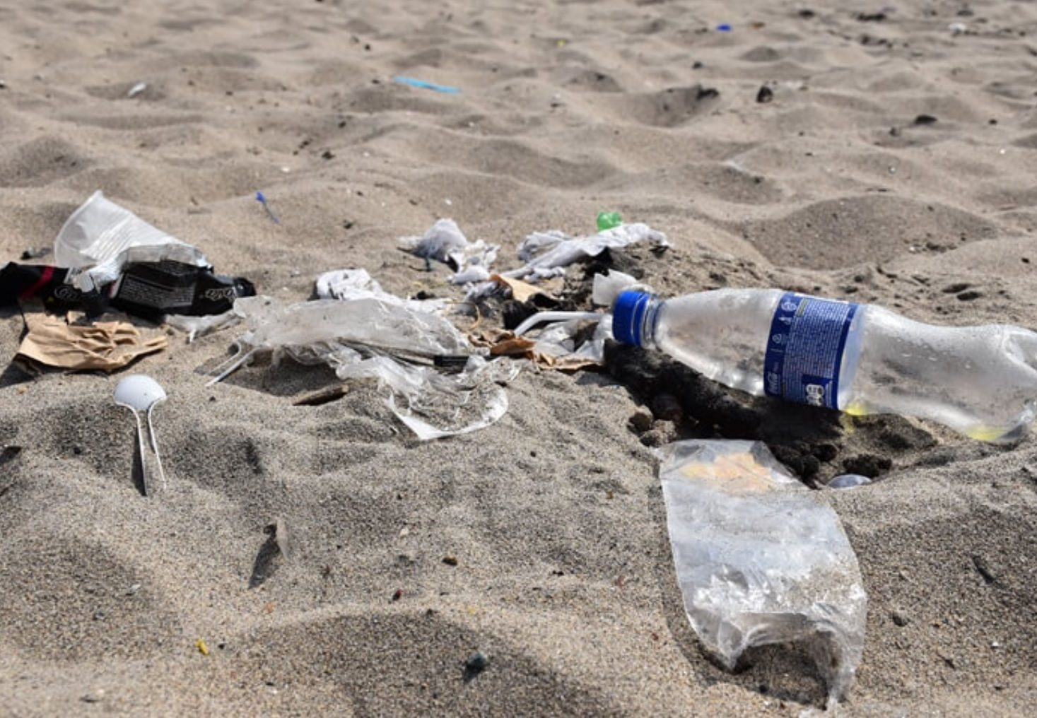 Εύβοια: Παραλία κατάντησε χωματερή από τα σκουπίδια