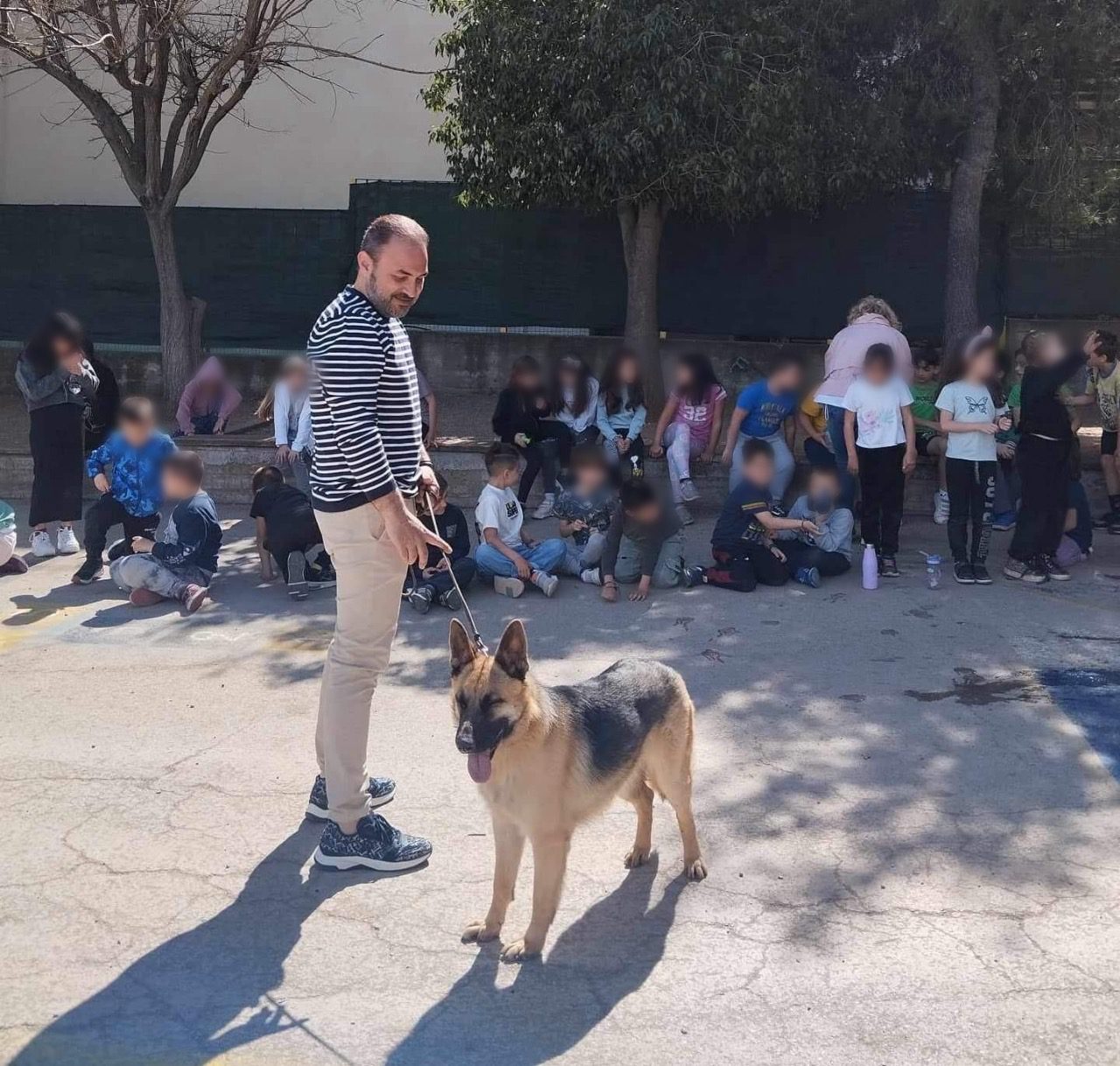 Εύβοια: Νέα δράση για τα αδέσποτα ζώα – Τι περιλαμβάνει