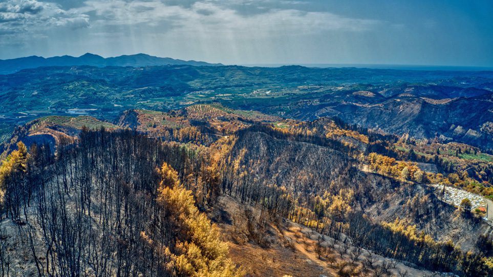 Στη Βουλή οι καθυστερήσεις στην αναδάσωση της Βόρειας Εύβοιας