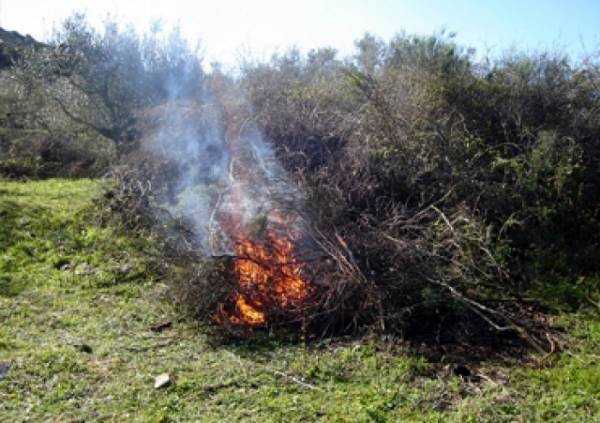 Εύβοια – Αποκλειστικό: Απαγορεύεται η καύση στις γεωργικές εκτάσεις για τις επόμενες τρεις μέρες