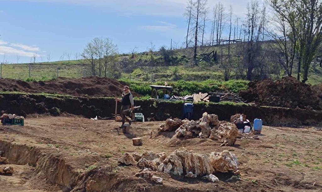 Εύβοια: Άναυδος έμεινε δήμαρχος από ανασκαφές απολιθωμένου δάσους – Τι βρέθηκε