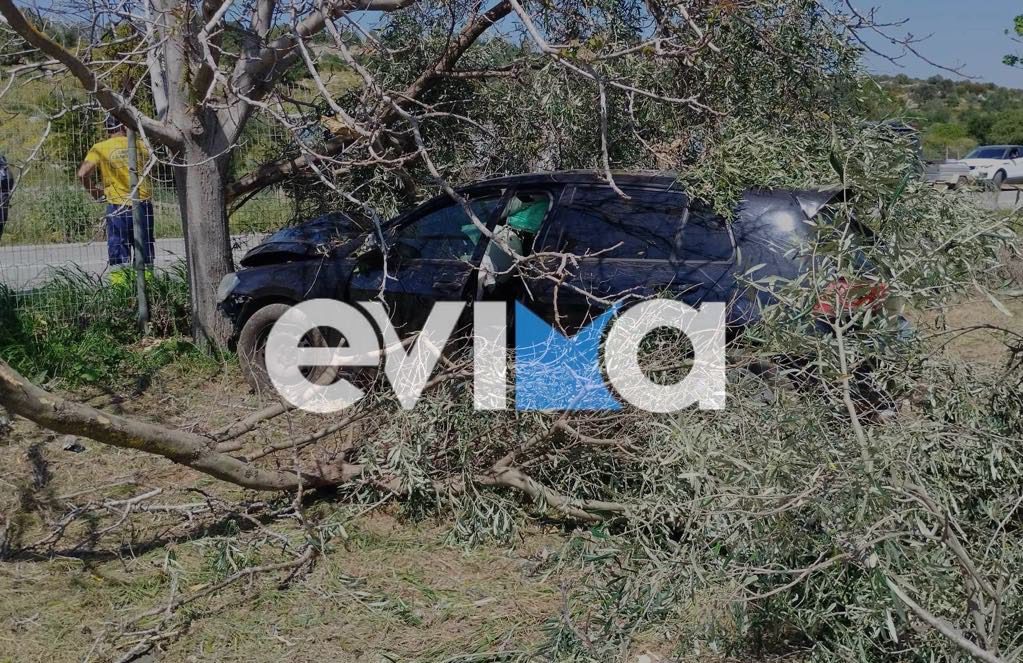 Σοβαρό τροχαίο στην Εύβοια: Αυτοκίνητο κατέληξε σε χωράφι (εικόνες)