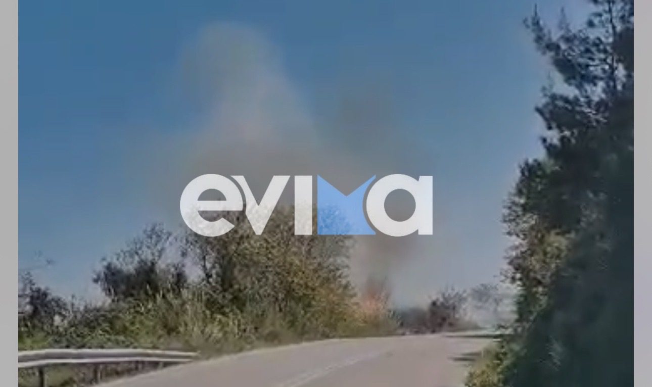 Φωτιά τώρα στην Εύβοια κοντά σε οικισμό (vid)