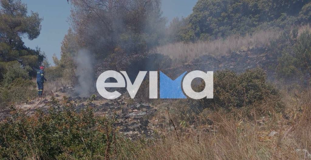 Φωτιά σε γεωργική έκταση στην Εύβοια (pics)