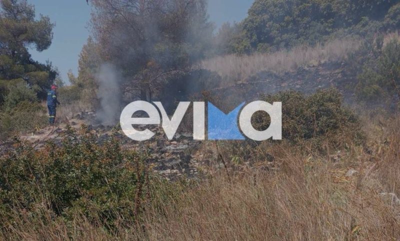 Εύβοια: Μια σύλληψη για την φωτιά σε σε γεωργική έκταση στο Βασιλικό