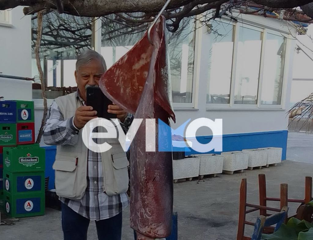 Έπιασε καλαμάρι «γίγας» στην Εύβοια – Ξεπερνά τα 10 κιλά (pics)