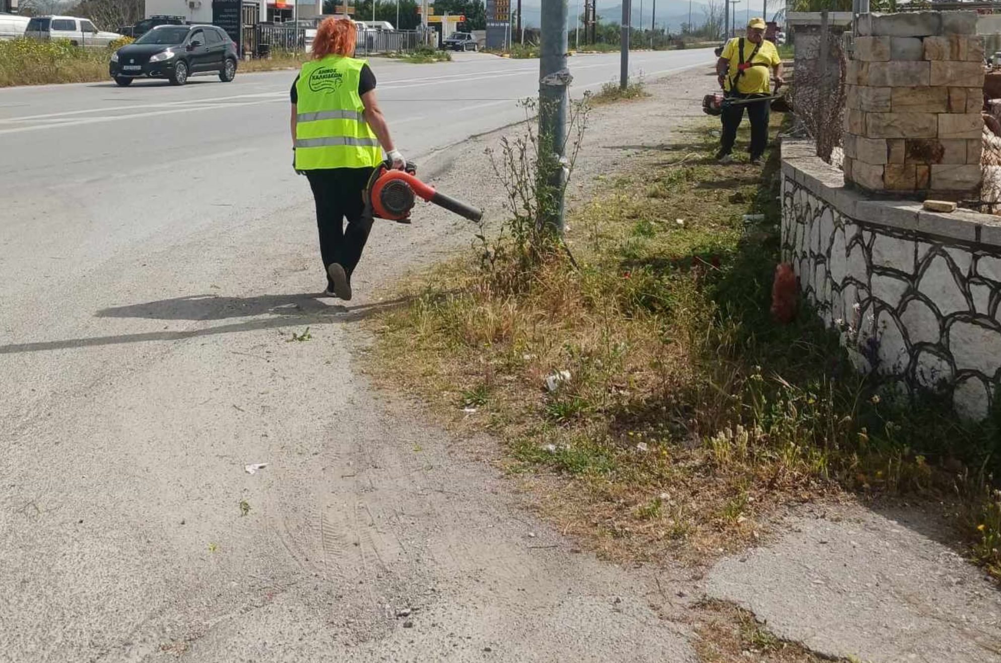 Εύβοια: Έργα καθαρισμού και συντήρησης πρασίνου – Πού έγιναν