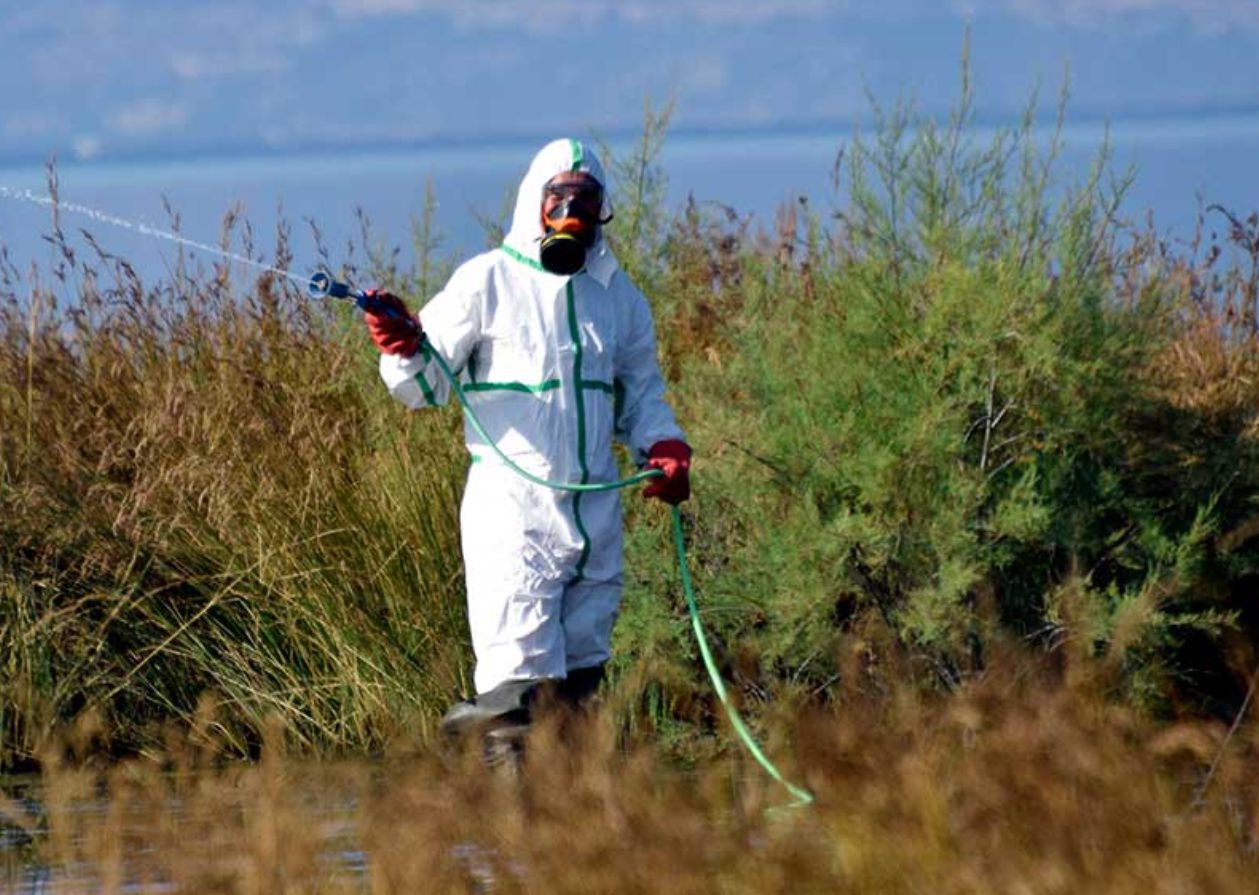 Εύβοια: Πότε και πού θα γίνουν οι επόμενοι ψεκασμοί για κουνούπια