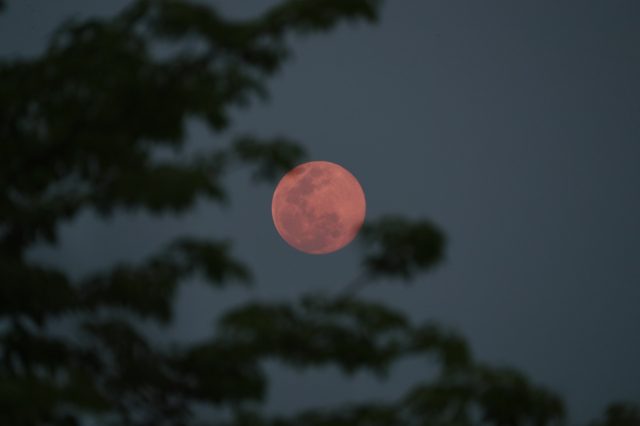 Απόψε το «Ροζ Φεγγάρι» του Απρίλη- Γιατί λέμε έτσι αυτή την πανσέληνο