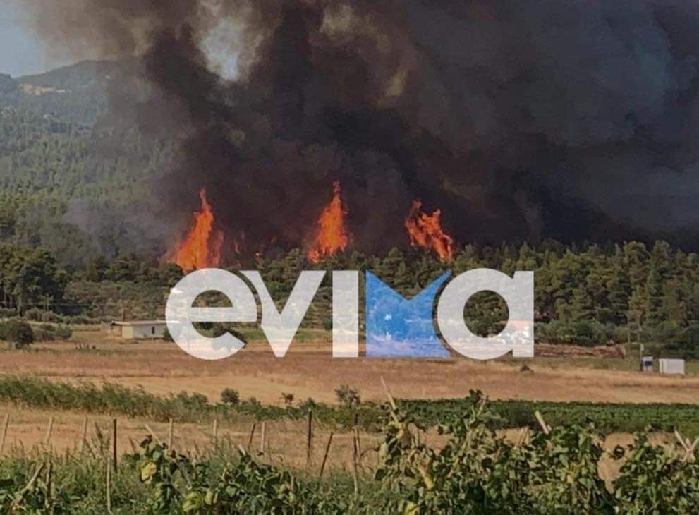 Βόρεια Εύβοια: Μήνυση σε πυροσβέστες και δημάρχους για την πυρκαγιά του 2021