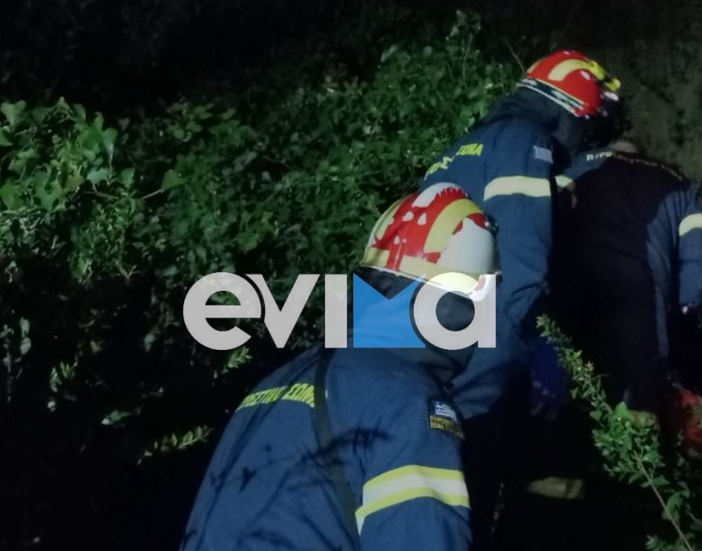 Εύβοια – Αποκλειστικό: Ώρες αγωνίας για δύο παιδιά – Πήγαν για περπάτημα και χάθηκαν