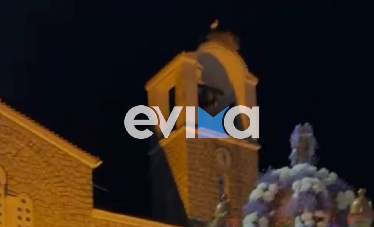 Viral έγινε ο πελαργός που πέταξε πάνω από Επιτάφιο στην Εύβοια (pics&vid)