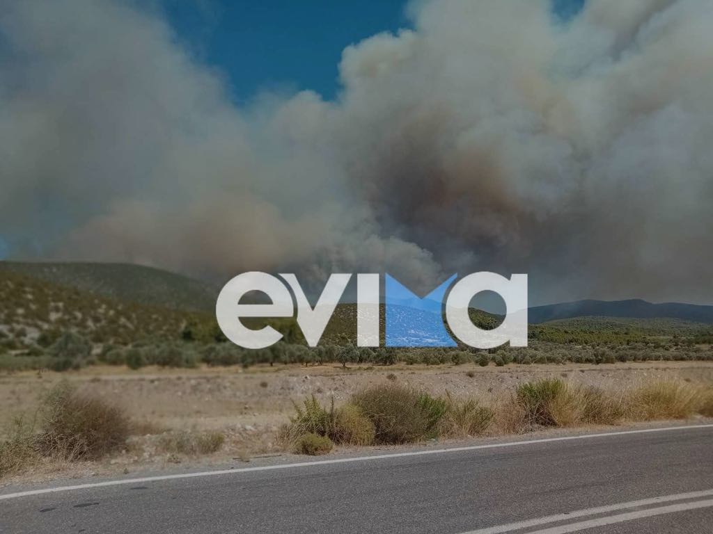 Οι οκτώ προτάσεις για τις πυρόπληκτες περιοχές στην Εύβοια Οι οκτώ προτάσεις για τις πυρόπληκτες περιοχές στην Εύβοια