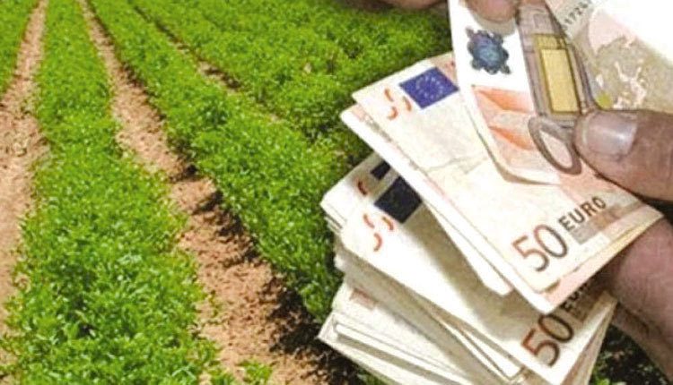 Εύβοια: Να δοθεί άμεσα αποζημίωση στους πληγέντες αγρότες – Υπάρχει κίνδυνος επιβίωσης Εύβοια: Να δοθεί άμεσα αποζημίωση στους πληγέντες αγρότες – Υπάρχει κίνδυνος επιβίωσης