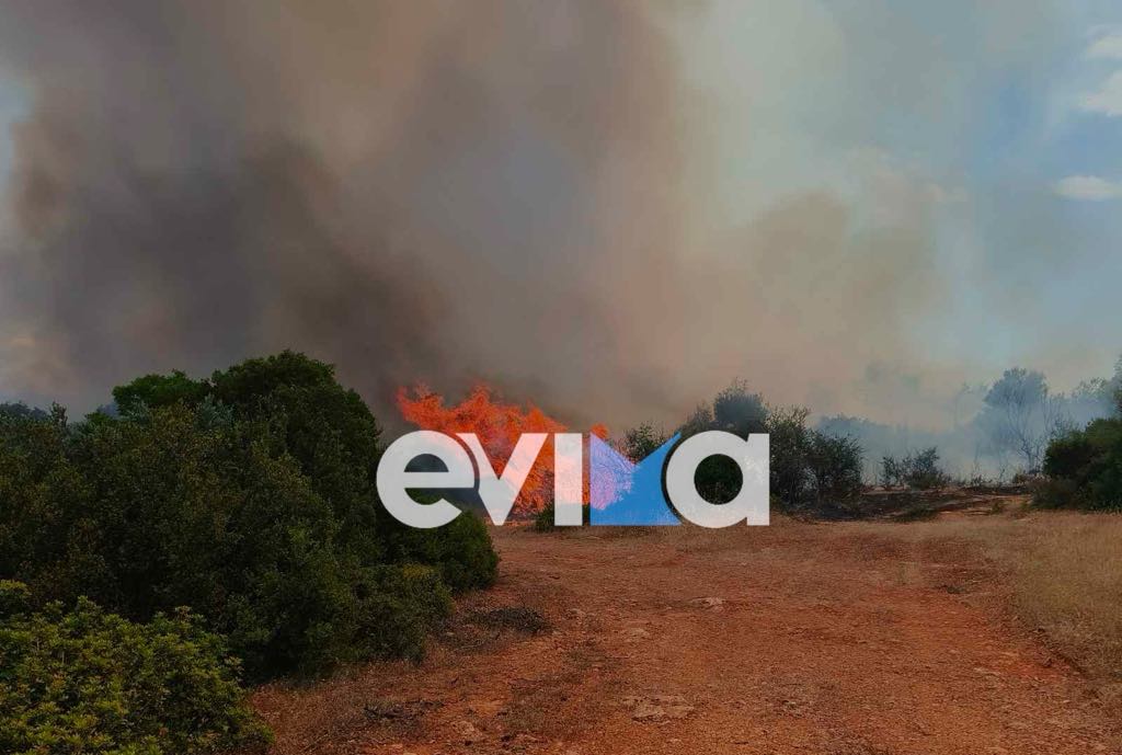 Σε εξέλιξη η μεγάλη φωτιά στη Ριτσώνα Χαλκίδας – Οι πρώτες εικόνες Σε εξέλιξη η μεγάλη φωτιά στη Ριτσώνα Χαλκίδας – Οι πρώτες εικόνες