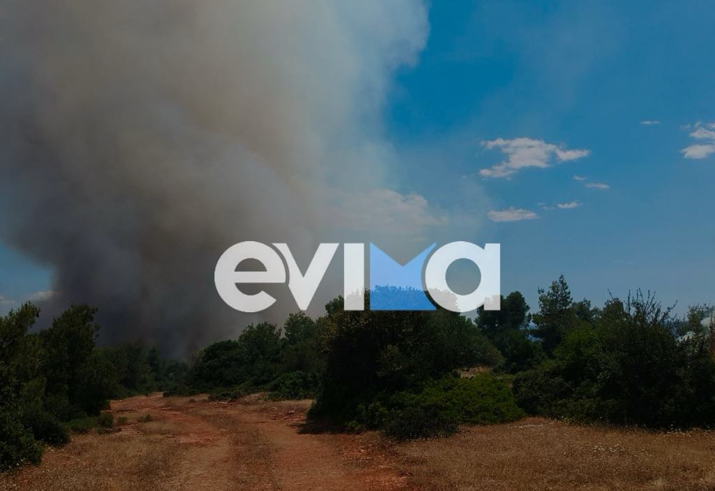 Χαλκίδα: Συνελήφθη άνδρας για την φωτιά στη Ριτσώνα Χαλκίδα: Συνελήφθη άνδρας για την φωτιά στη Ριτσώνα