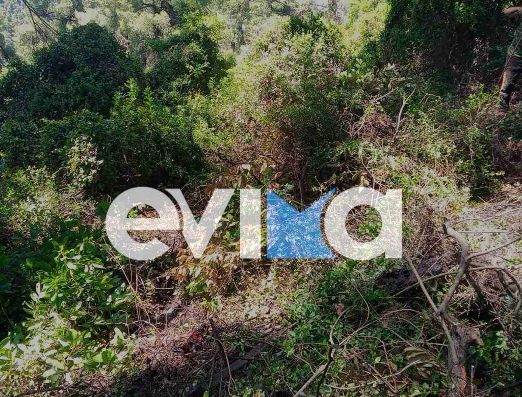 Φωτιά σε δασική έκταση σε δύσβατο σημείο στο Μαντούδι Ευβοίας