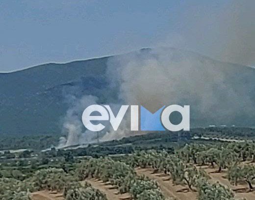 Φωτιά τώρα στη Ριτσώνα Χαλκίδας Φωτιά τώρα στη Ριτσώνα Χαλκίδας