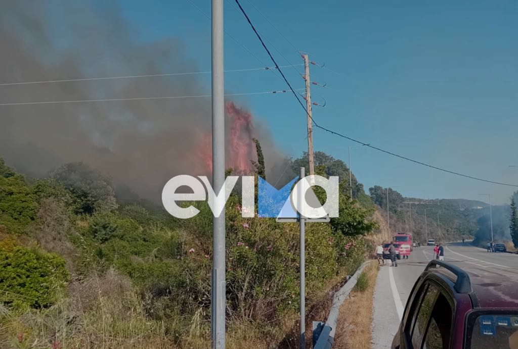 Φωτιά στην Εύβοια: Οι πρώτες εικόνες Φωτιά στην Εύβοια: Οι πρώτες εικόνες