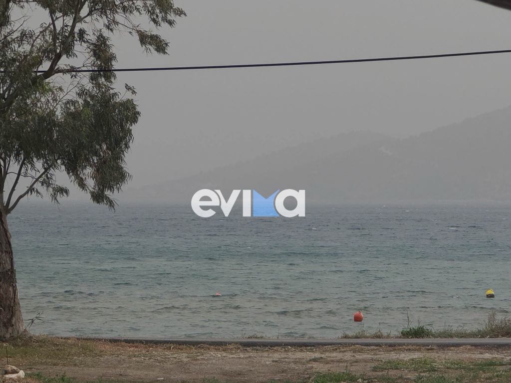 «Πνίγηκε» στην αφρικάνικη σκόνη η Εύβοια: Πότε θα «καθαρίσει» η ατμόσφαιρα – Εικόνες «Πνίγηκε» στην αφρικάνικη σκόνη η Εύβοια: Πότε θα «καθαρίσει» η ατμόσφαιρα – Εικόνες
