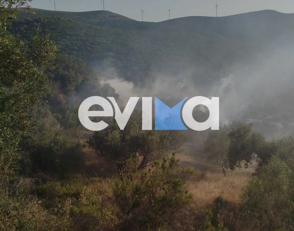 Καλύτερη εικόνα από την φωτιά στην Εύβοια: Σηκώθηκαν εναέρια μέσα Καλύτερη εικόνα από την φωτιά στην Εύβοια: Σηκώθηκαν εναέρια μέσα