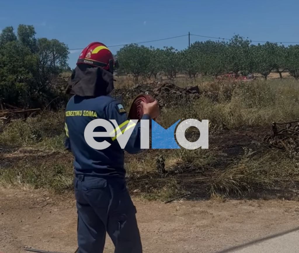 Υπό έλεγχο η φωτιά στον Πισσώνα Ευβοίας Υπό έλεγχο η φωτιά στον Πισσώνα Ευβοίας