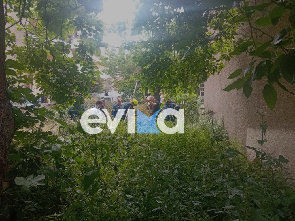 Εύβοια: Άνδρας έπεσε σε πηγάδι- Συναγερμός στην Πυροσβεστική Εύβοια: Άνδρας έπεσε σε πηγάδι- Συναγερμός στην Πυροσβεστική