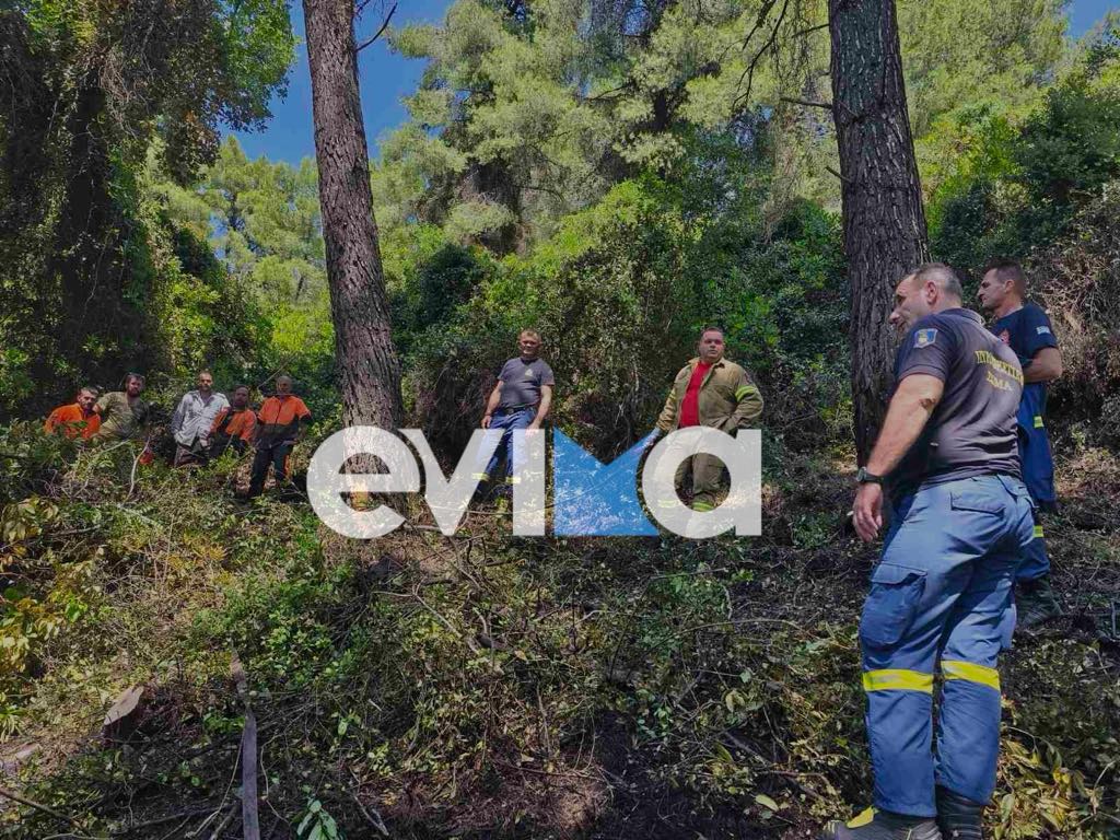 Ρητινεργάτες και πυροσβέστες έσωσαν δάσος από φωτιά στην Εύβοια Ρητινεργάτες και πυροσβέστες έσωσαν δάσος από φωτιά στην Εύβοια