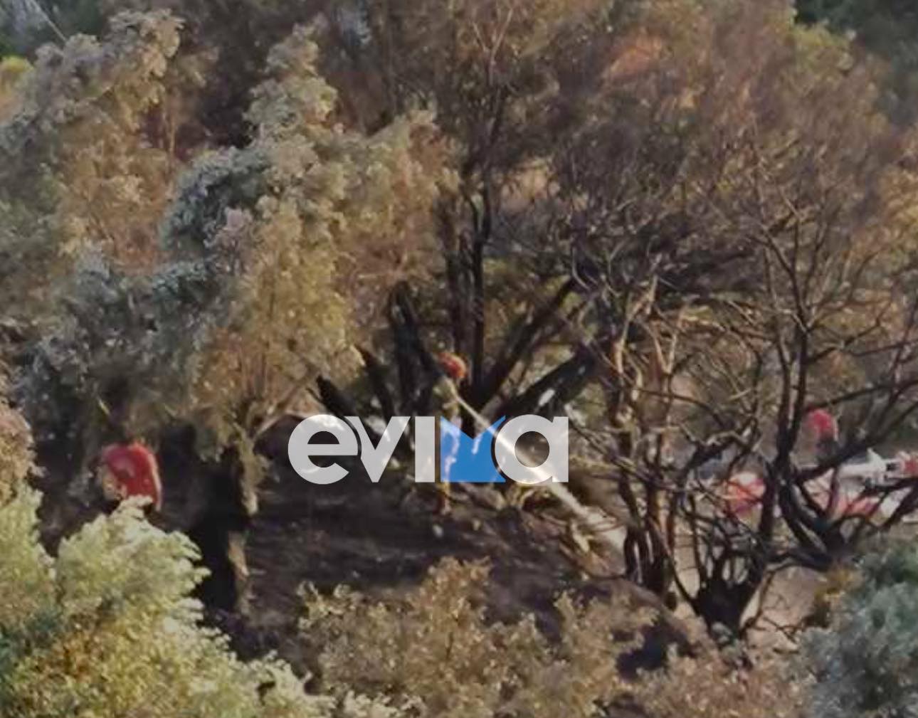 Υπό έλεγχο τέθηκε η φωτιά στον Αλμυροπόταμο Ευβοίας Υπό έλεγχο τέθηκε η φωτιά στον Αλμυροπόταμο Ευβοίας