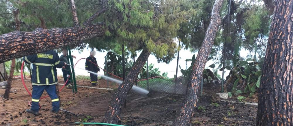 Άγιοι Θεόδωροι: Φωτιά από κεραυνό στο σπίτι του Κώστα Σημίτη (εικόνες) Άγιοι Θεόδωροι: Φωτιά από κεραυνό στο σπίτι του Κώστα Σημίτη (εικόνες)