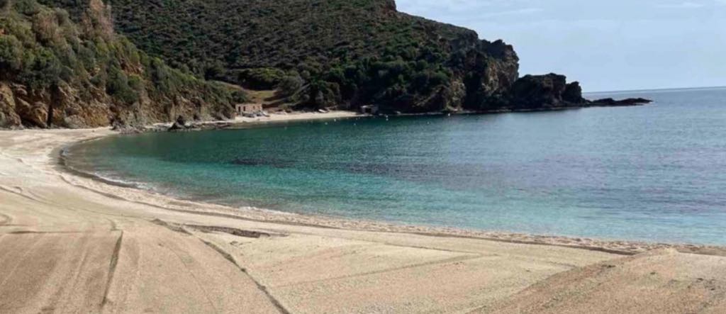 Καιρός: Ζέστη και σήμερα στην Εύβοια – Στους 30 βαθμούς θα σκαρφαλώσει η θερμοκρασία Καιρός: Ζέστη και σήμερα στην Εύβοια – Στους 30 βαθμούς θα σκαρφαλώσει η θερμοκρασία
